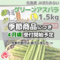 【数量限定】北海道 JAきたみらい グリーンアスパラ L 1.5kg