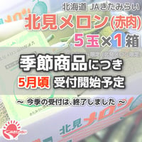 JAきたみらい「北見メロン(赤肉) 」5玉×1箱【北海道 JAきたみらい】