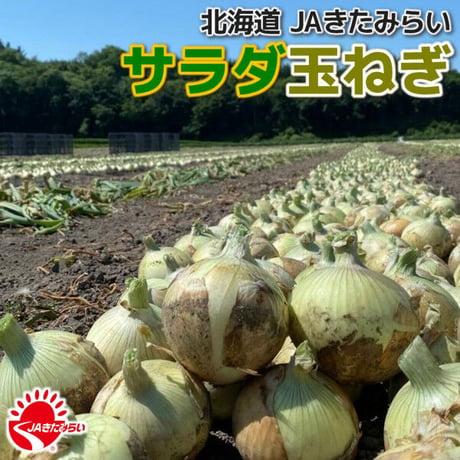 JAきたみらい「サラダ玉ねぎ」 10kg【北海道 北見産】