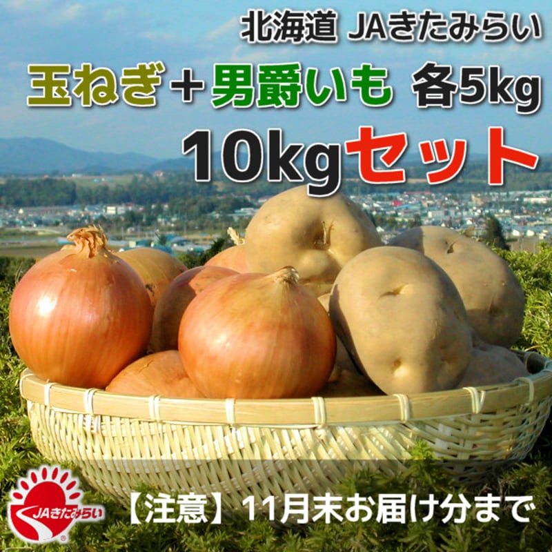 ももか　小玉10キロ×2 田子の白 Mサイズ10玉入り - 青森 たっこにんにく 通販