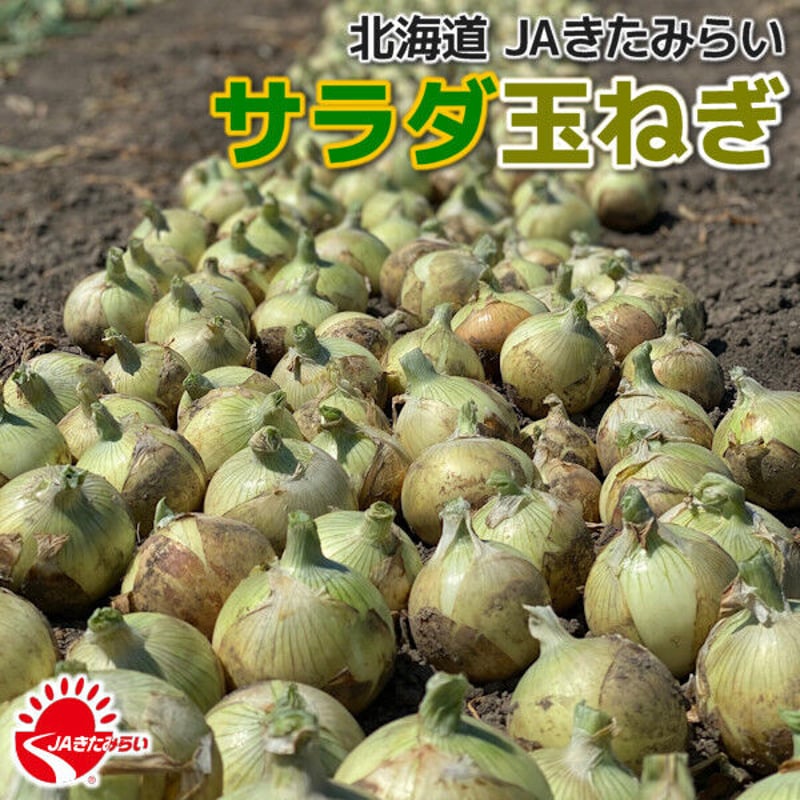 JAきたみらい「サラダ玉ねぎ」 3kg×1箱【北海道 北見産】 | ショップ