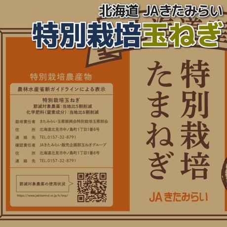 特別栽培玉ねぎ 10kg【北海道 JAきたみらい】