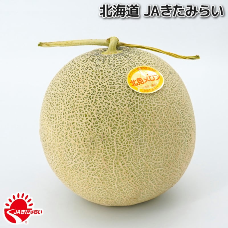 JAきたみらい「北見メロン(赤肉) 」2玉×2箱【北海道 JAきたみらい