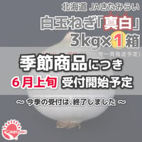 北見産たまねぎ「真白」 3kg×1箱【北海道 JAきたみらい】