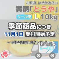 [クール便]北見黄爵｢とうや｣ 10kg【北海道 JAきたみらい産】