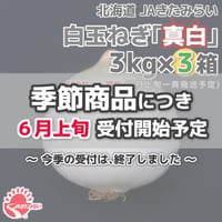 北見産たまねぎ「真白」 3kg×3箱【北海道 JAきたみらい】