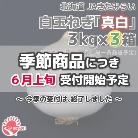 北見産たまねぎ「真白」 3kg×3箱【北海道 JAきたみらい】