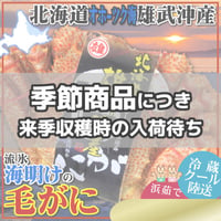 期間限定 北海道 雄武産 海明け 毛ガニ 約800g 超特大