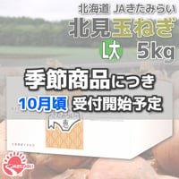 北見玉ねぎ L大5kg【北海道 JAきたみらい】