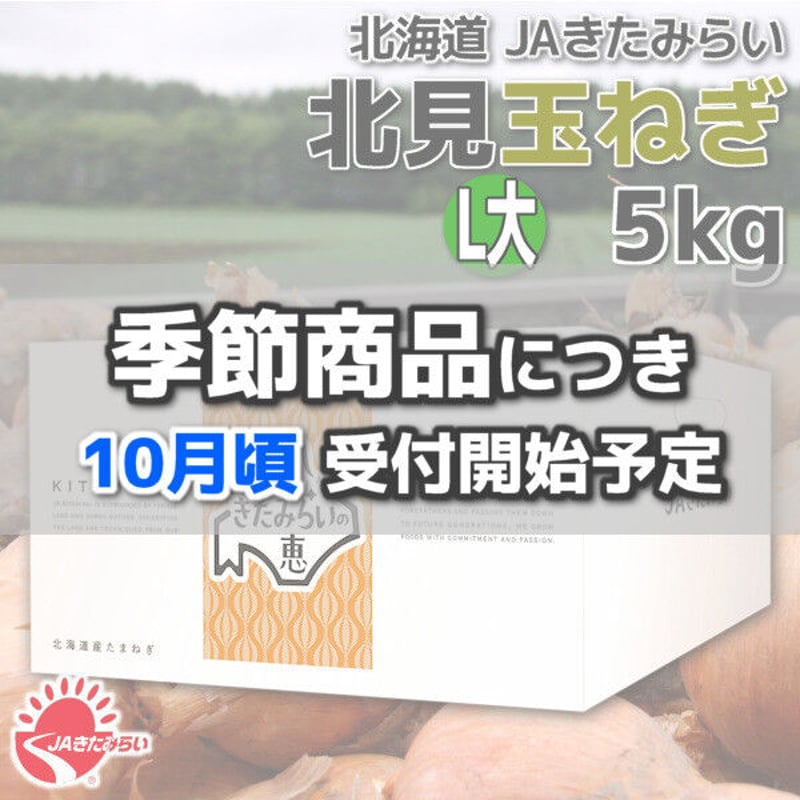 北見玉ねぎ L大5kg【北海道 JAきたみらい】 | ショップきたみさん！