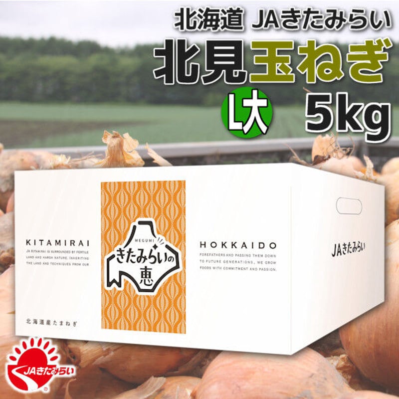 北見玉ねぎ L大5kg【北海道 JAきたみらい】 | ショップきたみさん！