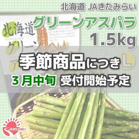 【数量限定】北海道 JAきたみらい グリーンアスパラ L 1.5kg