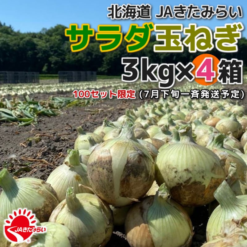 JAきたみらい「サラダ玉ねぎ」 3kg×4箱【北海道 北見産】 | ショップ