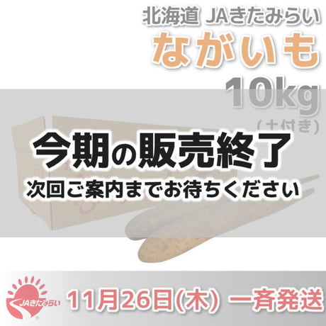 長芋(土付き) 優 10kg【北海道 JAきたみらい産】 11/26一斉発送