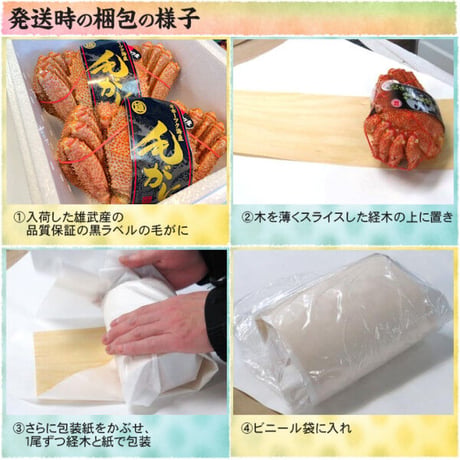 期間限定 北海道 雄武産 海明け 毛ガニ 約570g 特大