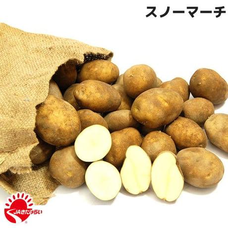 じゃがいも｢スノーマーチ｣ 10kg【北海道 JAきたみらい産】