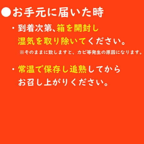 JAきたみらい メロン(赤肉) 2玉×2箱【北海道 JAきたみらい】