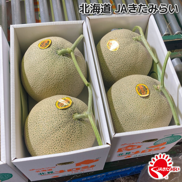 【melaice様】専用・赤360ｇ×2袋✨≪リクエスト特割特価≫ JAきたみらい「北見メロン(赤肉) 」2玉×1箱【北海道 JAきたみらい