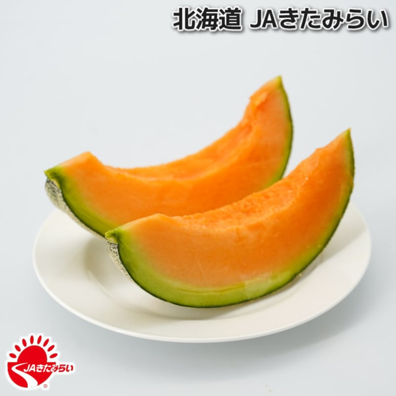 JAきたみらい「北見メロン(赤肉) 」2玉×2箱【北海道 JAきたみらい