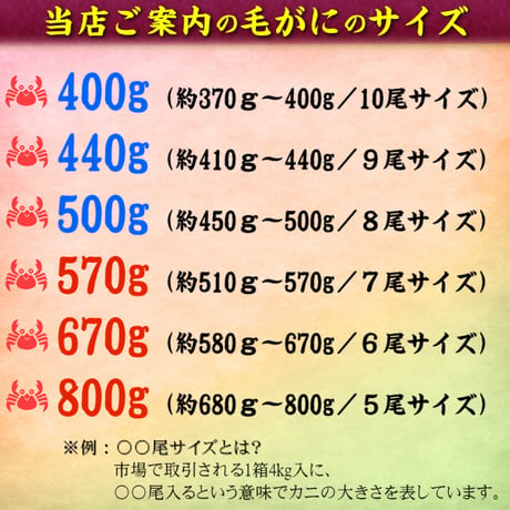 期間限定 北海道 雄武産 海明け 毛ガニ 約570g 特大