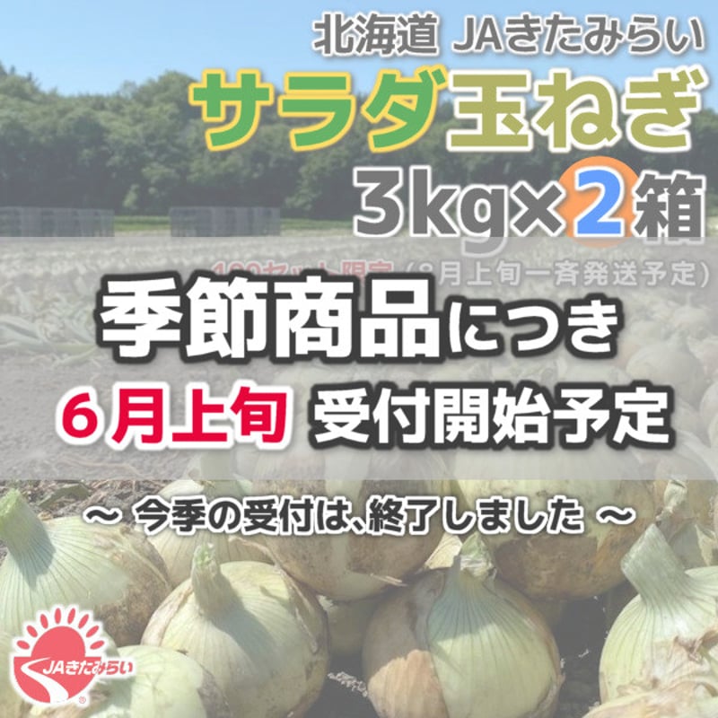 JAきたみらい「サラダ玉ねぎ」 3kg×2箱【北海道 北見産