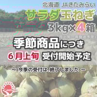 ながいも 出荷間近】長いも 北海道産 十勝川西 長芋 2.5kg (2Lサイズ/3本入り