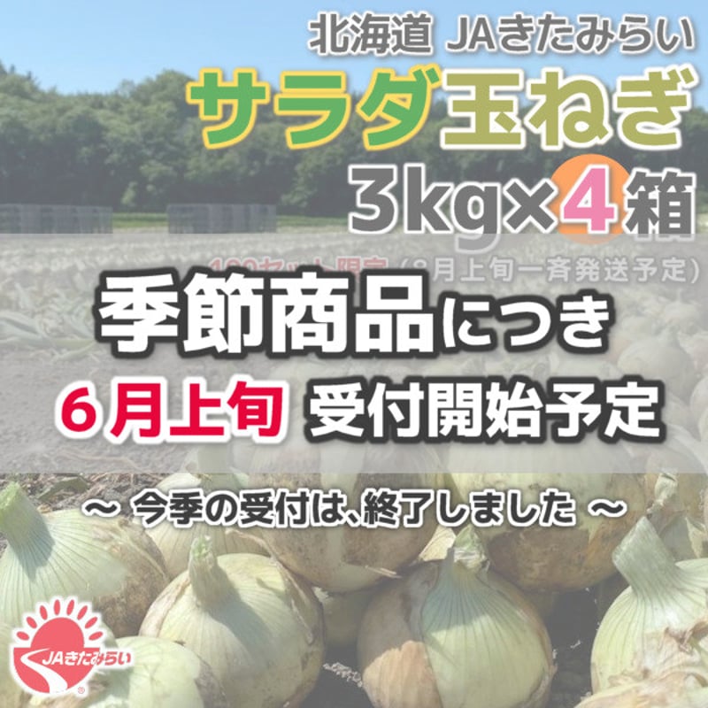 JAきたみらい「サラダ玉ねぎ」 3kg×4箱【北海道 北見産】 | ショップ