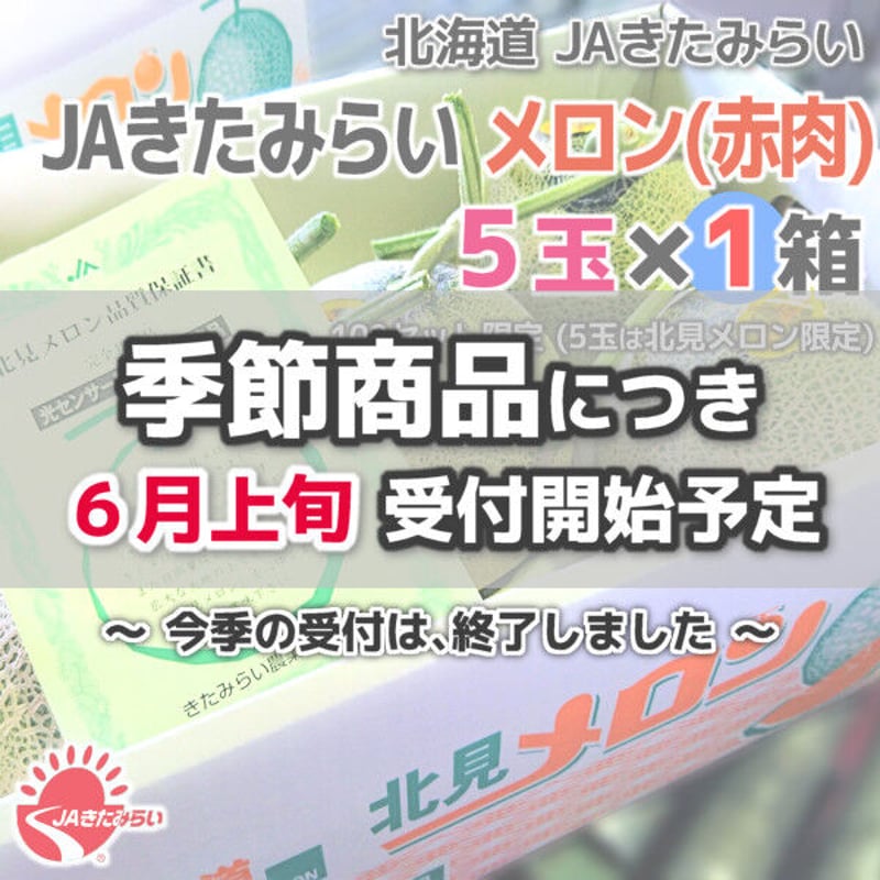 北海道赤肉　お楽しみ大箱5 糖度14度以上 JAきょうわ 『特大らいでん赤肉メロン（つる無し