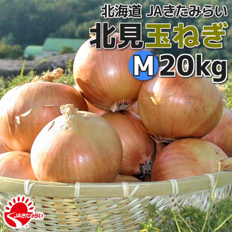 北見玉ねぎ M20kg【北海道 JAきたみらい】 | ショップきたみさん！