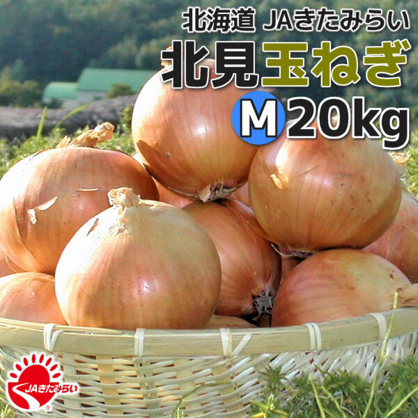 北見玉ねぎ M20kg【北海道 JAきたみらい】 | ショップきたみさん！