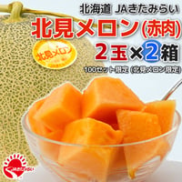 JAきたみらい「北見メロン(赤肉) 」2玉×2箱【北海道 JAきたみらい】