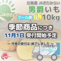 [クール便]北見男爵いも 10kg【北海道 JAきたみらい産】