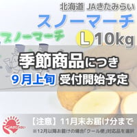 じゃがいも｢スノーマーチ｣ 10kg【北海道 JAきたみらい産】