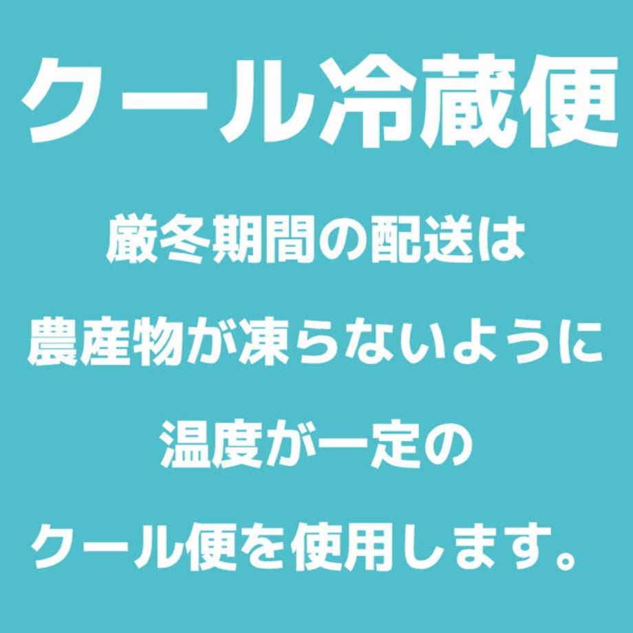 6358d3f8c92c5d6f3860fdea