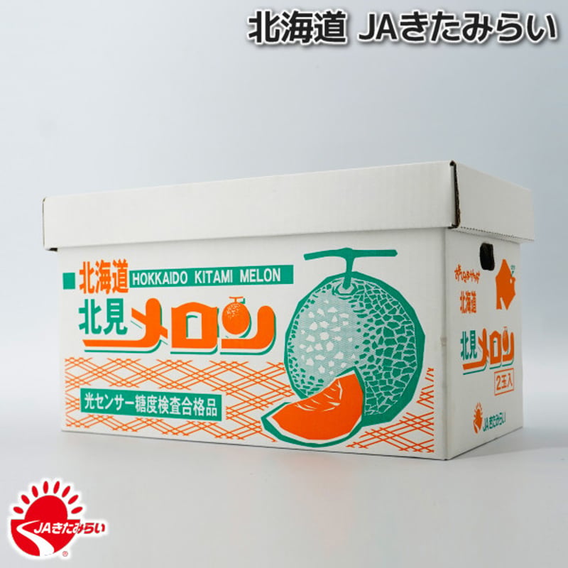 JAきたみらい「北見メロン(赤肉) 」2玉×2箱【北海道 JAきたみらい