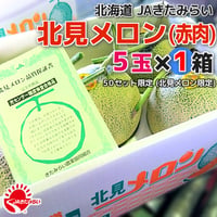 JAきたみらい「北見メロン(赤肉) 」5玉×1箱【北海道 JAきたみらい】