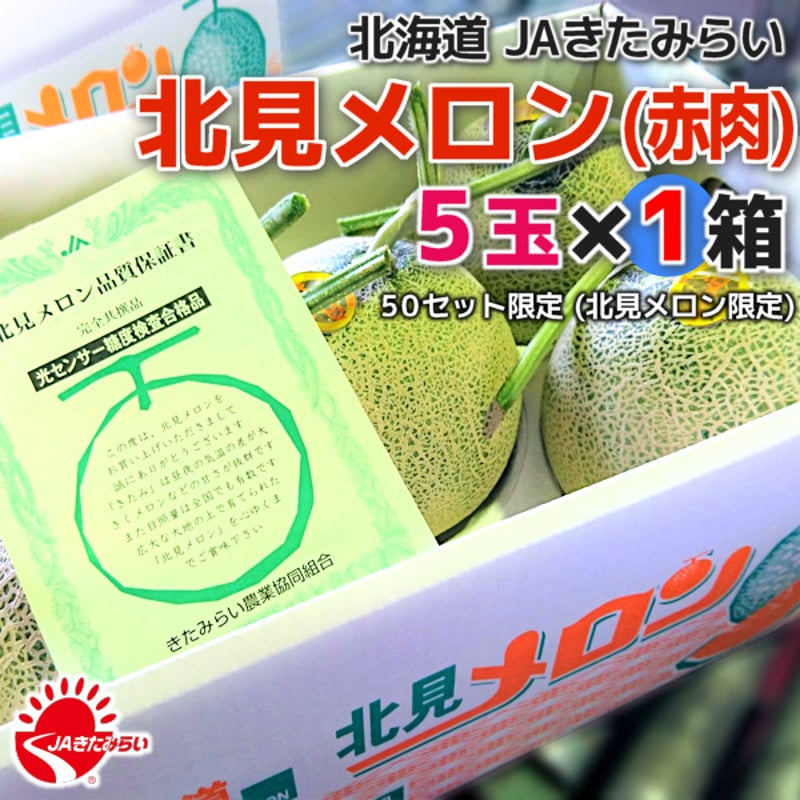 JAきたみらい「北見メロン(赤肉) 」5玉×1箱【北海道 JAきたみらい