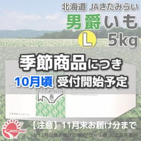 北見男爵いも L5kg【北海道 JAきたみらい産】