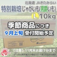 特別栽培じゃがいも(男爵いも) 10kg【北海道 JAきたみらい】
