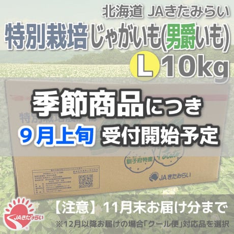 特別栽培じゃがいも(男爵いも) 10kg【北海道 JAきたみらい】