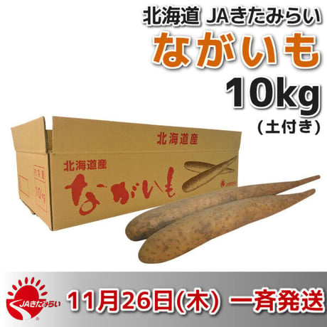 長芋(土付き) 優 10kg【北海道 JAきたみらい産】 11/26一斉発送