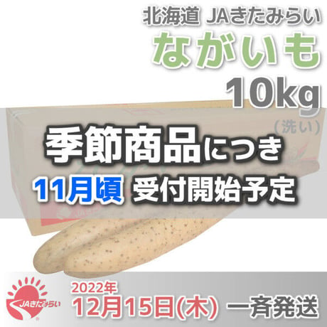 長芋(洗い)  A3L 10kg【北海道 JAきたみらい産】