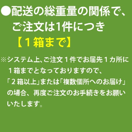 北見玉ねぎ L20kg【北海道 JAきたみらい】