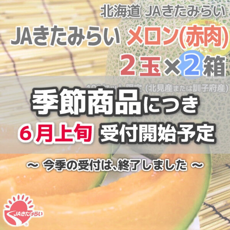 JAきたみらい メロン(赤肉) 2玉×2箱【北海道 JAきたみらい