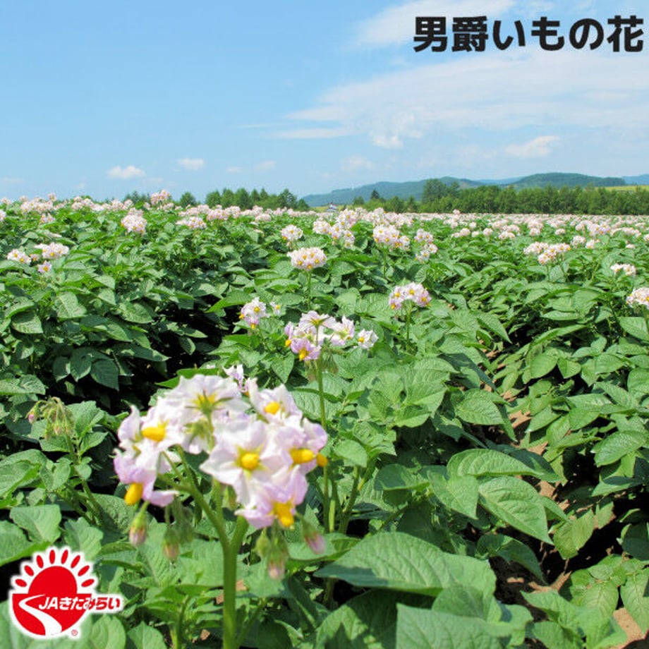 6358d3f8c92c5d6f3860fdea