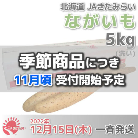 長芋(洗い)  A2L 5kg【北海道 JAきたみらい産】