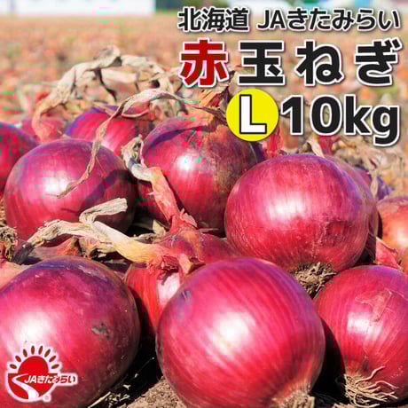 CATEGORY 玉ねぎ | ショップきたみさん！