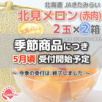 JAきたみらい「北見メロン(赤肉) 」2玉×2箱【北海道 JAきたみらい】