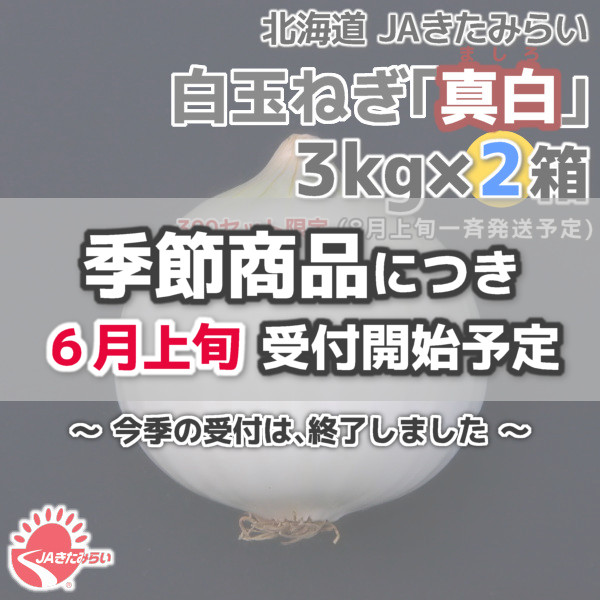 北見産たまねぎ「真白」 3kg×2箱【北海道 JAきたみらい】 | ショップ
