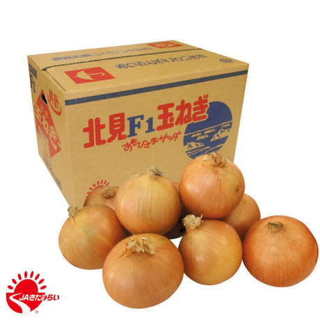 北見玉ねぎ L20kg【北海道 JAきたみらい】